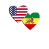 États-Unis Drapeau rastafari rastafari américain