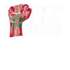 Fierté marocaine Drapeau marocain