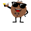 Coconut with sunglasses Coconuts