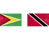 Guyana Flag Guyanese Guyana