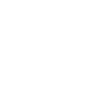 Tarantula enthusiast, pet spider owner,
