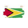 Guyana Flag Guyanese Guyana
