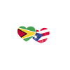 Guyana Flag Guyanais Guyanais