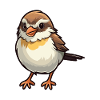 Sparrow Cartoon Kawaii Aquarelle Illustration