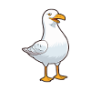 Seagull Cartoon Kawaii Akvarell Illustration