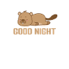 Good Night Pajamas Pajamas