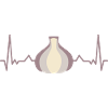 Knoblauch EKG Kardiogramm