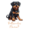 Dog lovers - Dog breeds Rottweiler -