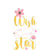 Starry Sky Wish Space Moon