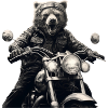 Biker Bear