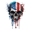 USA skull