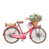 Amsterdam Fleur Vélo Souvenir Hollandais