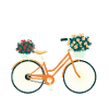 Amsterdam Flower Bicycle Dutch Souvenir