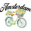 Amsterdam Flower Bicycle Dutch Souvenir
