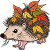 Igel