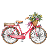 Amsterdam Fleur Vélo Souvenir Hollandais