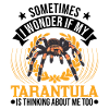Tarantula Spider Tarantula
