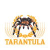Tarentule Araignée Tarentule