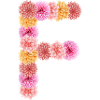 Lettre F de Dalien