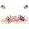 Retraitée 2026