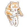 Vélo Jaguar