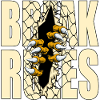 BREAK RULES