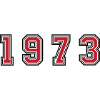 1973 year number