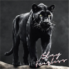Stay Fearless - Panther Design