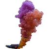 Pyrorauch