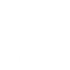 Le château blanc