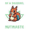 Squirrel Yoga Class Nutmaste Eichhörnchen