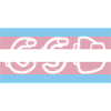 Trans Pride Flag CSD