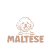 Maltese Owner Gifts