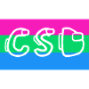 Polysexual Pride Flag CSD