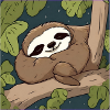 Cute sleeping sloth