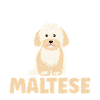 Maltese Owner Gifts