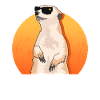Meerkat Cool Funny Meerkat Gift