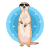 Erdmännchen Cool | Lustiges Erdmännchen Geschenk