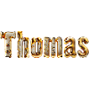 Thomas Männername