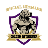 Special Command Golden Retriever