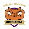 Special Command Chihuahua