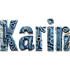 Karin jeans name