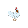 Funny Chicken Saying Chicken