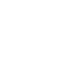 Talking Wombeanese Wombat Owner Australian