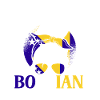 Bosnie-Herzégovine Drapeau Bosnie