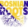 Bosnie-Herzégovine Drapeau Bosnie