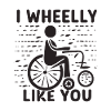 Rollstuhlfahrer