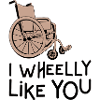 Rollstuhl