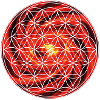 Flower of Life - Root