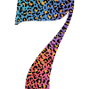 7e anniversaire léopard